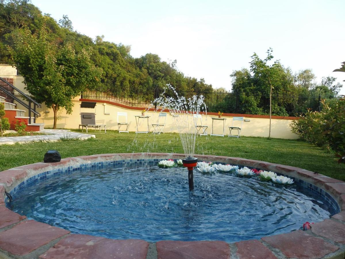 Helianthos Villa - Apartment No4 Palaiontsiflikion Exterior photo